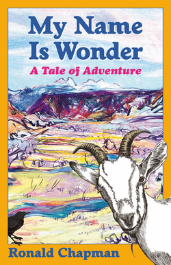 MediaKit_BookCover_MyNameIsWonder