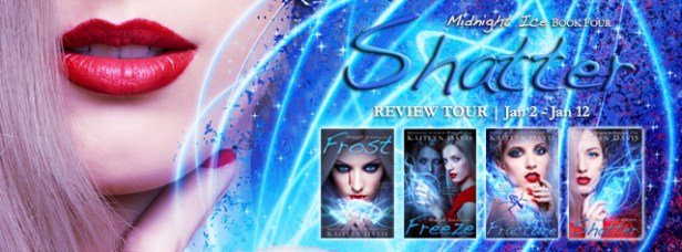 Shatter tour banner with covers